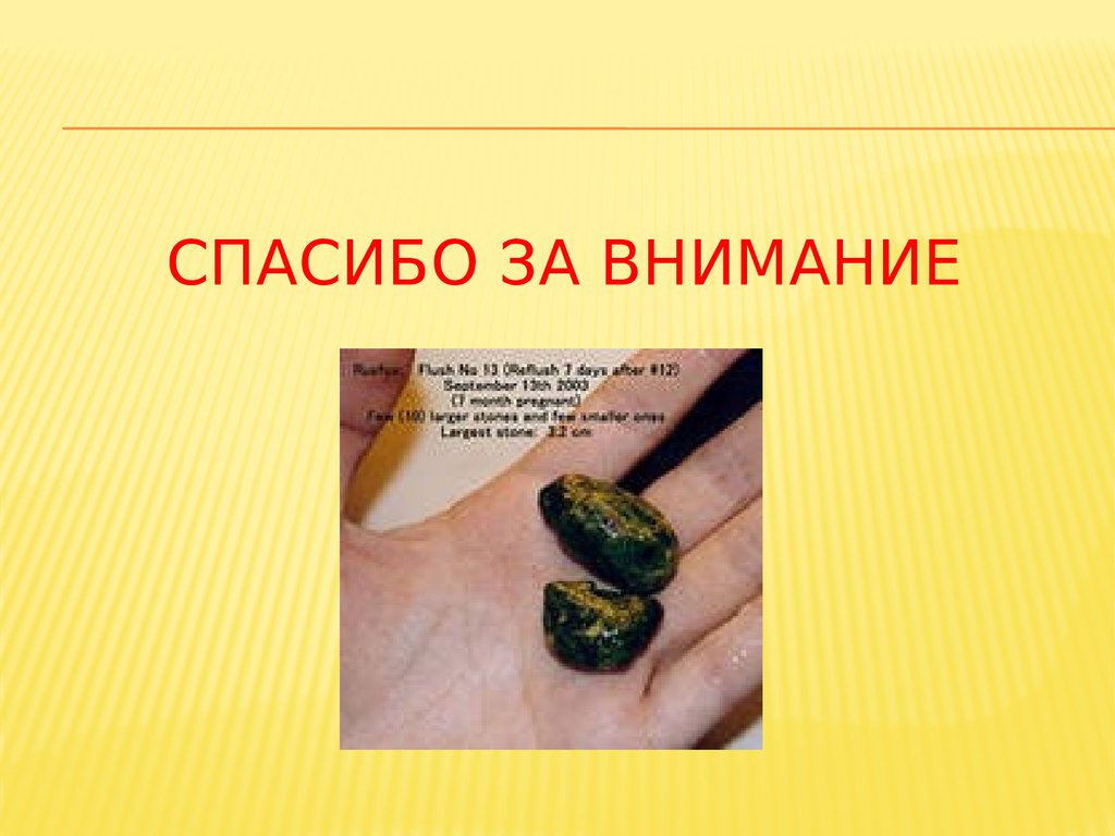 СПАСИБО ЗА ВНИМАНИЕ