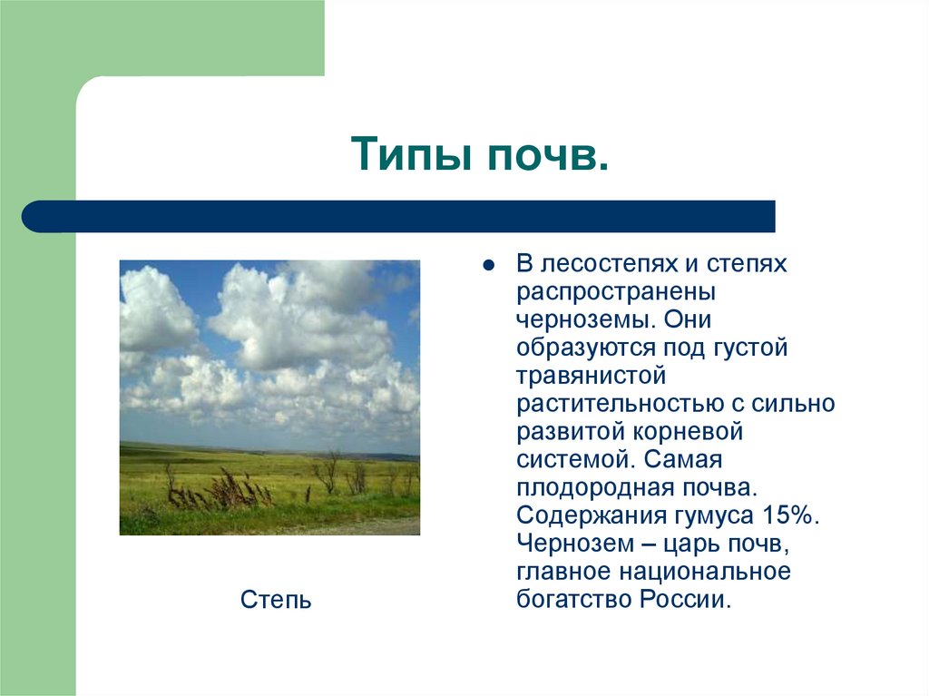 Какие почвы в степях россии. Климат и почва в степи в России. Почвы степи. Тип почвы в степи. Почвы степи в России.