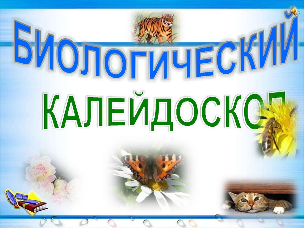 Экологический калейдоскоп картинки