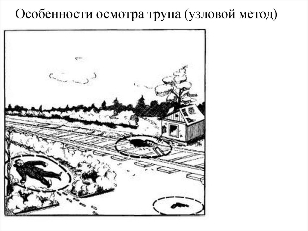 Способы осмотра места. Узловой метод осмотра места происшествия. Эксцентрический осмотр места происшествия. Концентрический метод осмотра места происшествия. Эксцентрический способ осмотра места происшествия.