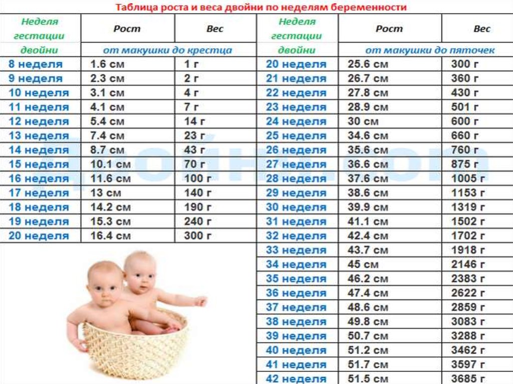 Сколько будет 27 недель. Вес плода в 36 недель беременности норма таблица. Вес ребёнка в 30 недель беременности норма таблица по неделям. Вес детей по неделям беременности двойня. Вес малыша в 31 недели беременности норма таблица.