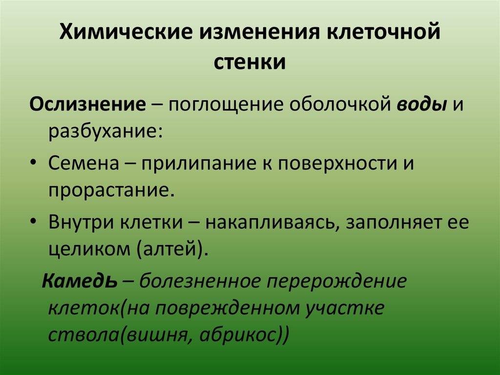 Химические изменения клеток