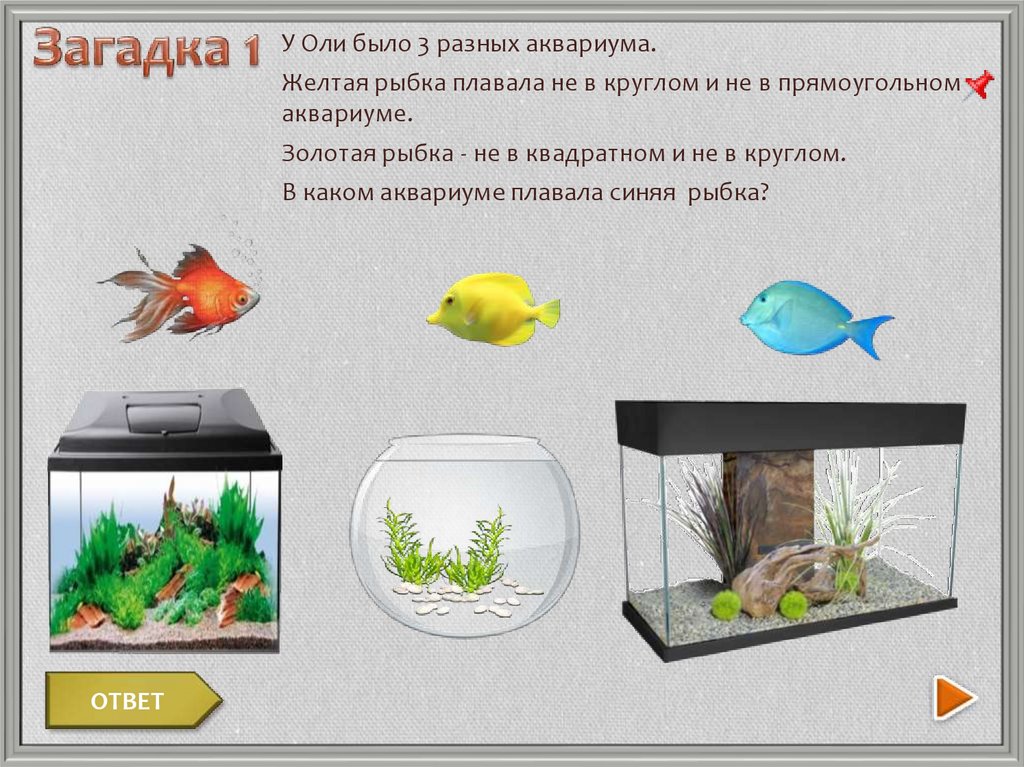 Какие организмы живут в аквариуме 5 класс. Аквариум с рыбками для дошкольников. Аквариум задания для дошкольников. Три рыбки плавали в разных аквариумах. Задача про аквариум.