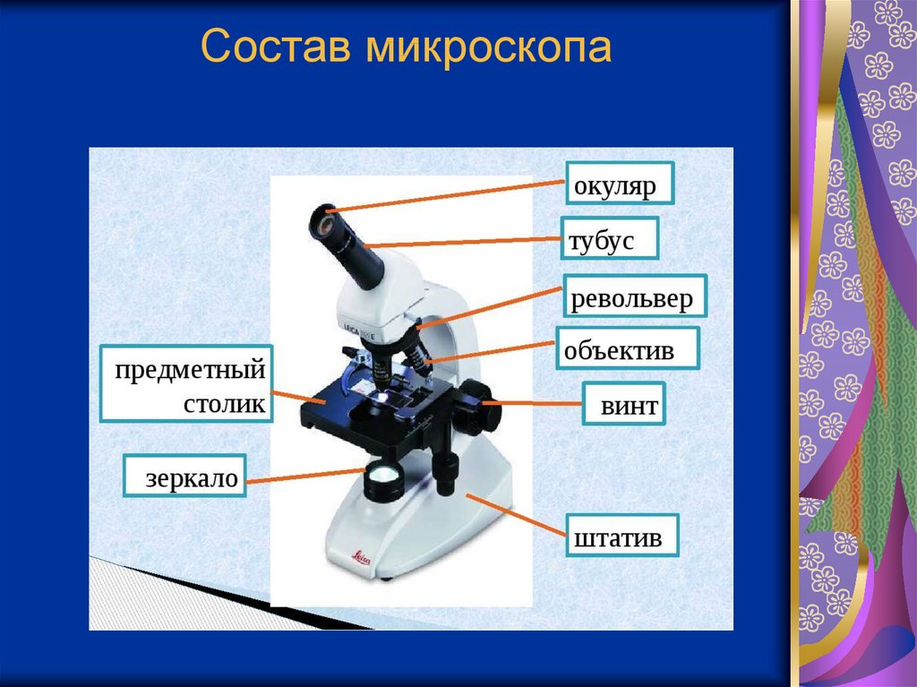 Какую функцию выполняет основа микроскопа. Микроскоп части микроскопа биология 5 класс. Строение светового микроскопа 5 класс биология. Состав цифрового микроскопа биология 5 класс. Световой микроскоп строение.