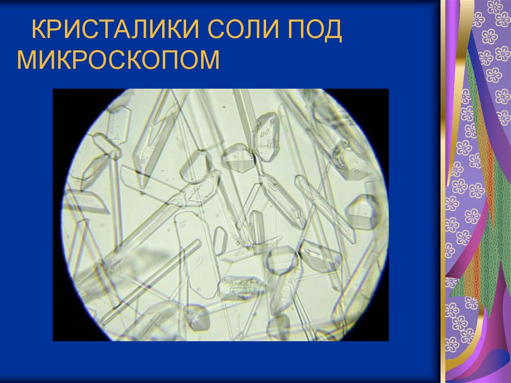 Соль под микроскопом. Структура кристалла соли под микроскопом. Соль в микроскопе. Кристаллы соли и сахара под микроскопом.