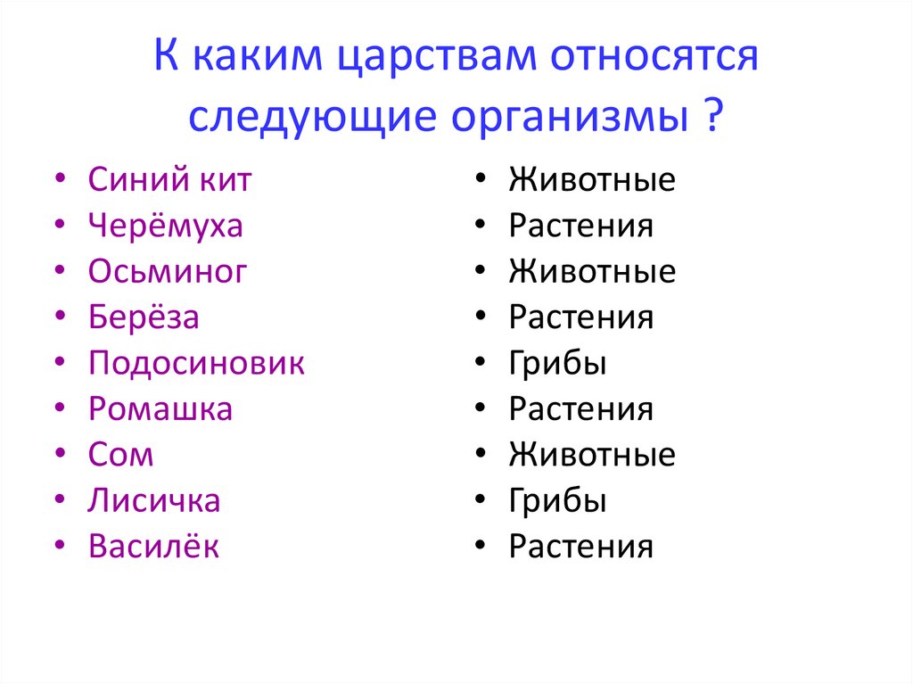 Какие признаки характерны для царства к которому относят организм изображенный на рисунке