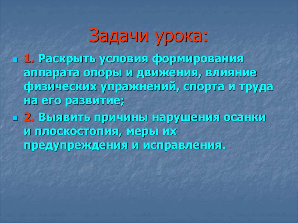 Развитие аппарата. Развитие аппарата движения. Развитие аппарата опоры. 1. Общая характеристика аппарата опоры и движения.. Условие необходимое для формирования аппарата.