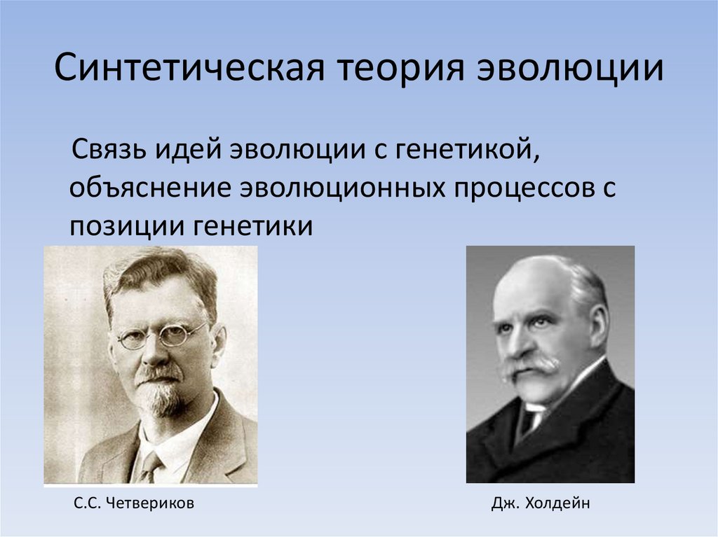 Презентация на тему синтетическая теория эволюции