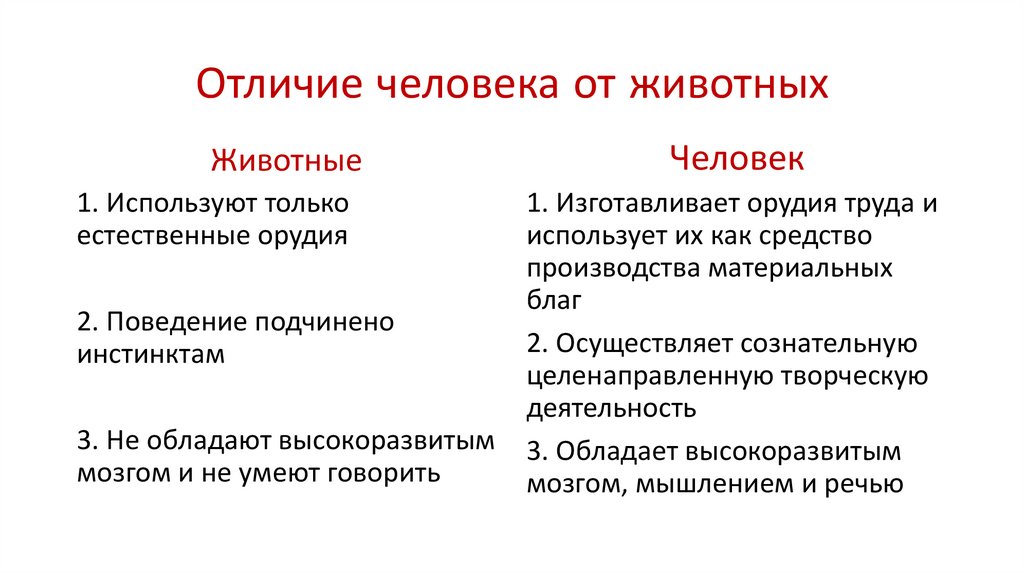 Социальные отличия человека