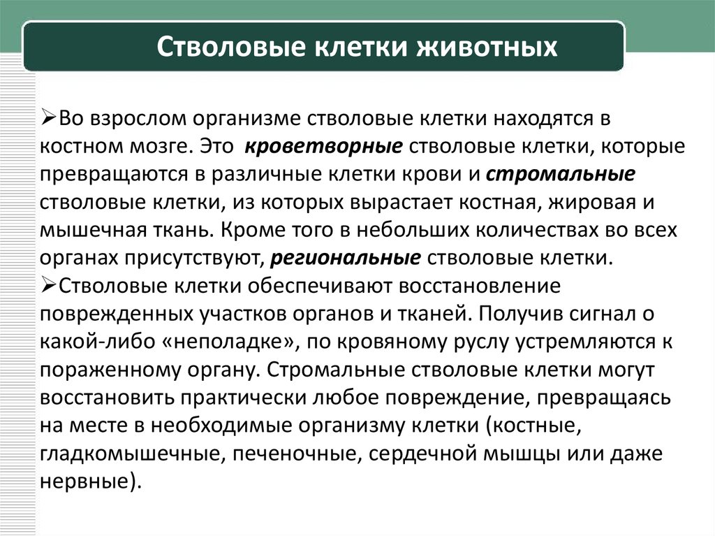 Типы клеток по способности к делению. Регионарные стволовые клетки. Значение клетки. Клетки теряют способность к делению какие.