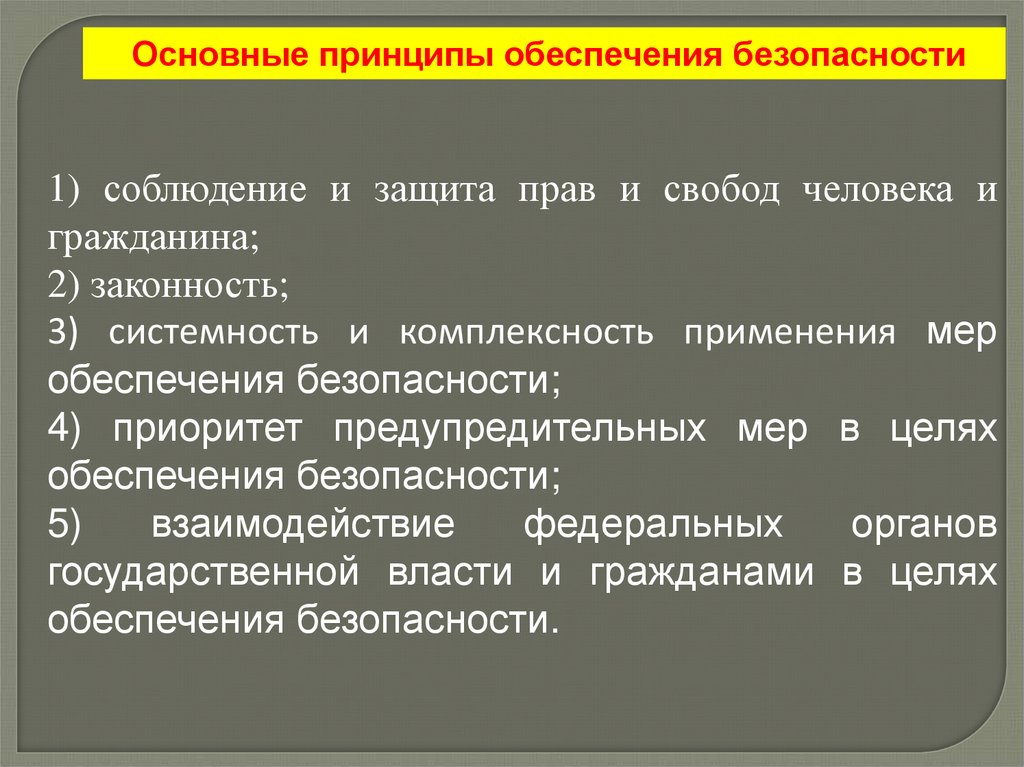 Осуществление мер по обеспечению законности. Принципы обеспечения прав и свобод человека. Приоритет предупредительных мер в целях обеспечения безопасности. Принципы обеспечения безопасности законность. Принцип обеспечения и охраны прав и свобод.