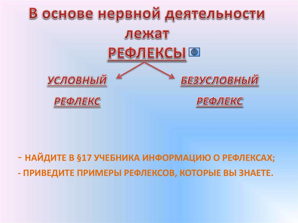 Основа нервной деятельности человека и животного. В основе нервной деятельности лежит рефлекс. Рефлекс в основе нервной. Творческая деятельность лежит рефлекс. Какой рефлекс лежит в основе творческой деятельности.