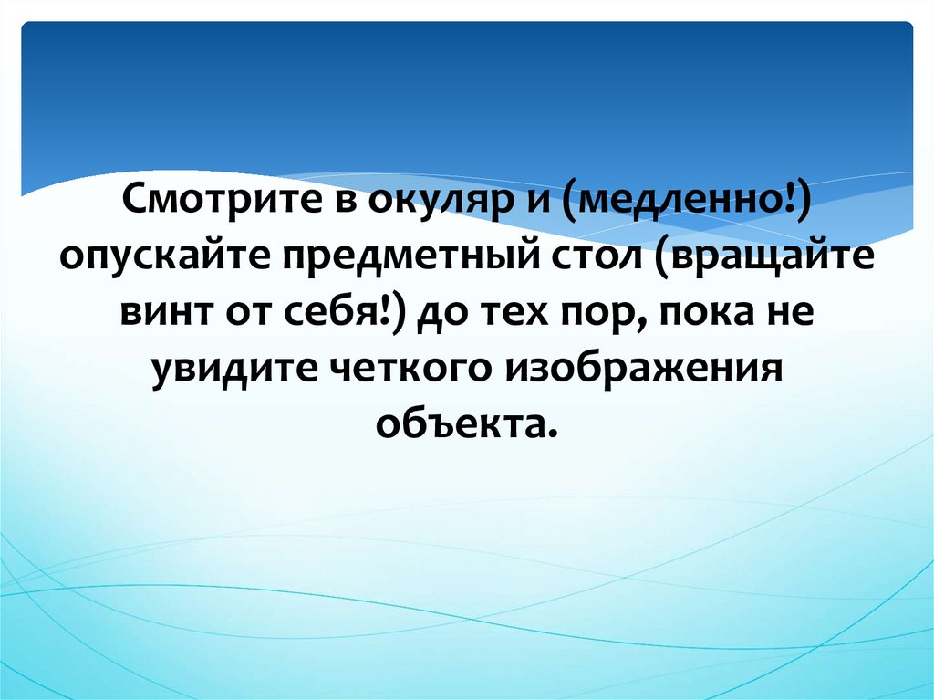 Проект большой мир маленьких клеток 5 класс проект