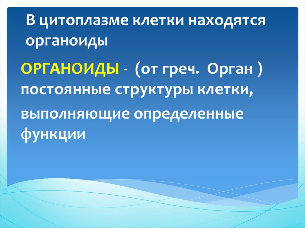 Проект большой мир маленьких клеток 5 класс проект