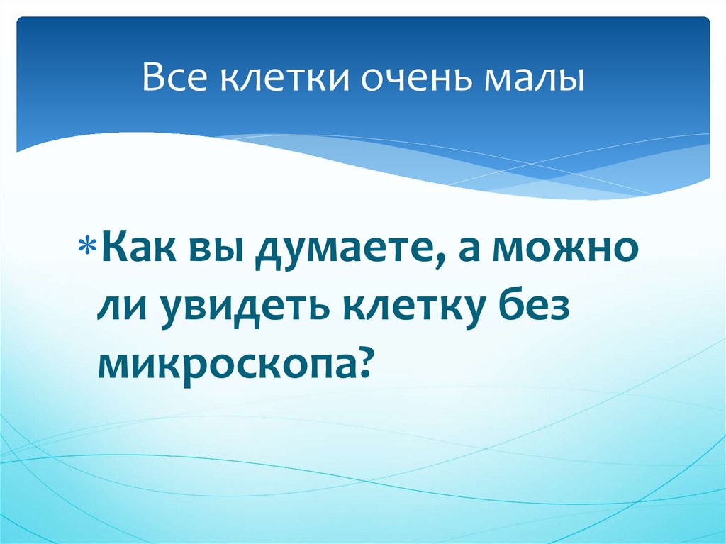 Проект большой мир маленьких клеток 5 класс проект