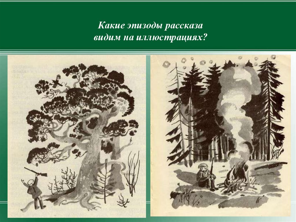 Деревья из васюткино озеро. Васюткино озеро. Иллюстрации к произведениям Астафьева в.п.. Иллюстрация к рассказу Васюткино озеро. Рисунок к произведению Васюткино озеро.