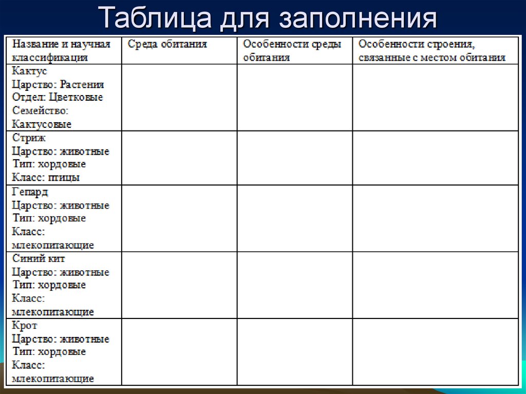 Таблица для проекта пустая