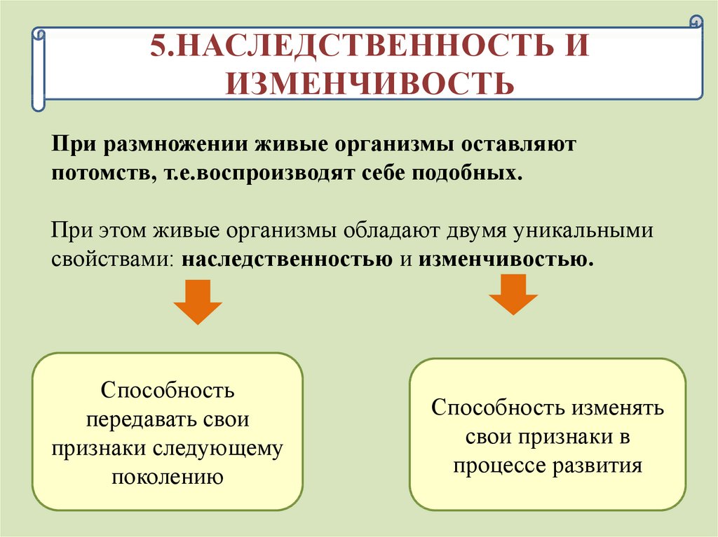 Современные представления о возникновении жизни 11 класс