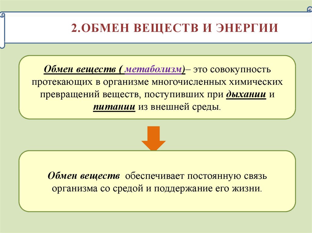 Современные представления о возникновении жизни 11 класс