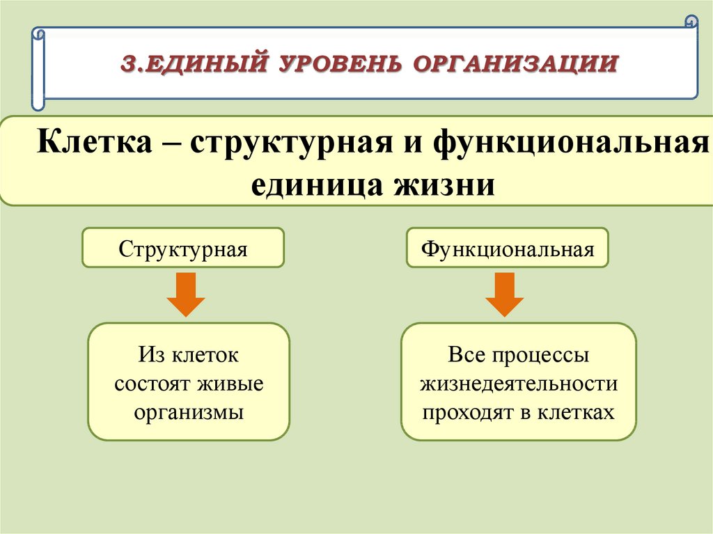 Современные представления о возникновении жизни 11 класс