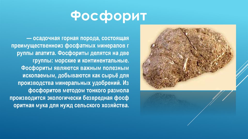 Фосфориты полезные ископаемые. Фосфориты в кировской области полезные ископаемые. Фосфориты полезные ископаемые. Неметаллические полезные ископаемые список. Фосфориты в кировской области полезные ископаемые.