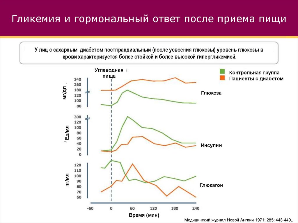 Ответы эндокринологов