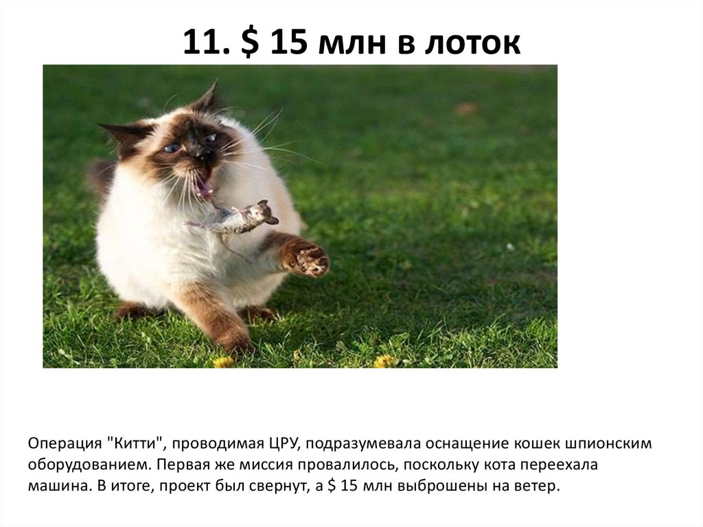 11. $ 15 млн в лоток