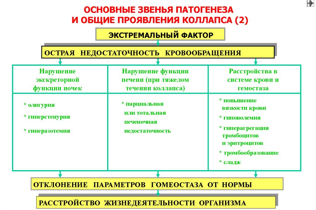 Коллапс это проявление острой. Виды экстремальных состояний таблица. Виды экстремальных состояний. Общая характеристика экстремальных состояний.