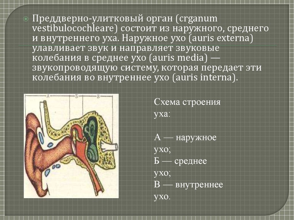 Травмы лор органов