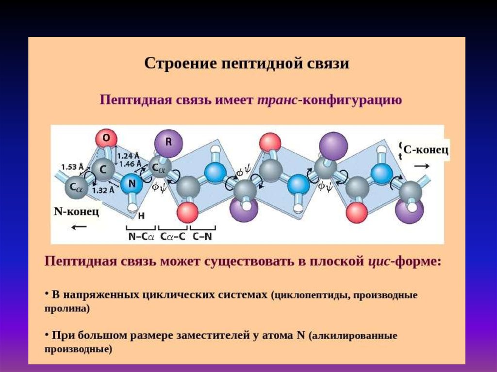 Связи аминокислот. Структура белки-полипептиды-пептиды. Пептидная группа аминокислот. Механизм образования пептидной связи химическая. Пептидная связь химическая структура.