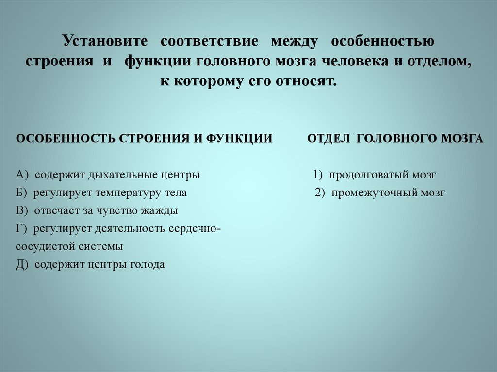 Между особенность. Соответствие между особенностями строения и функциями. Установите соответствие между особенностями биологической системы. Установите соответственно между особенности физической функции.