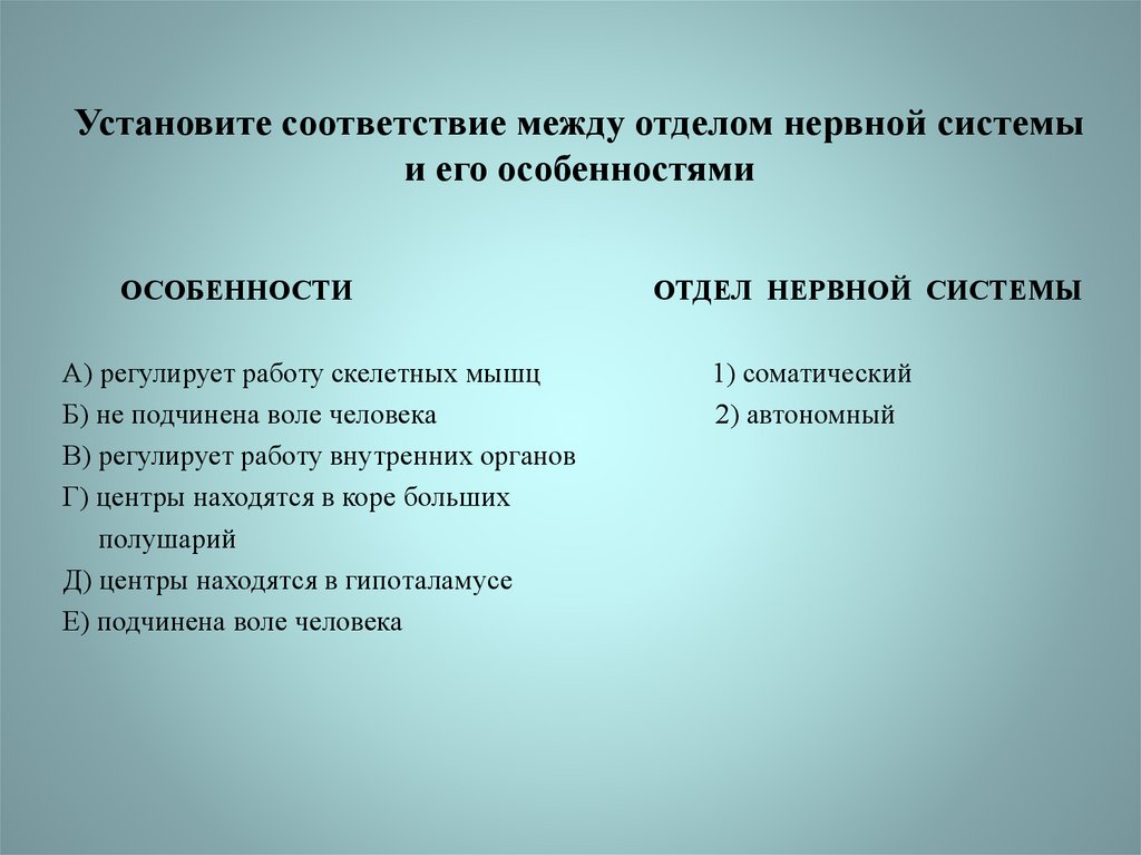 Установите особенности. Установите соответствие отделов нервной системы. Нервная система, регулирующая работу скелетных мышц. Установи соответствие между функцией и отделом нервной системы. Установите соответствие между отделом нервной системы.