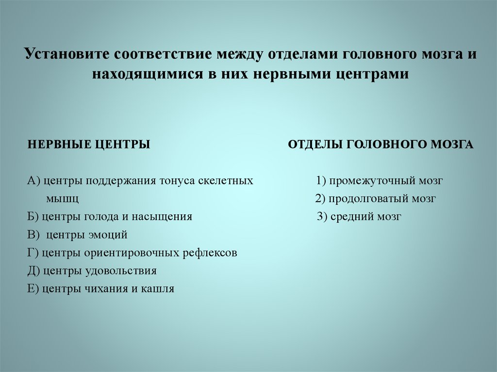 Соответствие между отделами. Установите соответствие между отделами головного мозга. Установите соответствие между отделом. Установите соответствие между отделом головного мозга и его функцией. Установите соответствие между функциями и отделами головного мозга.