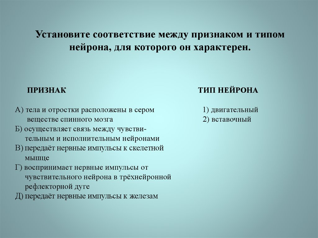 Соответствие между признаком и типом. Признаки и типы нейрона. Установи соответствие между признаком и типом нейроном. Установите соответствие признаков и типом нейрона. Для чувственного нейрона характерно.