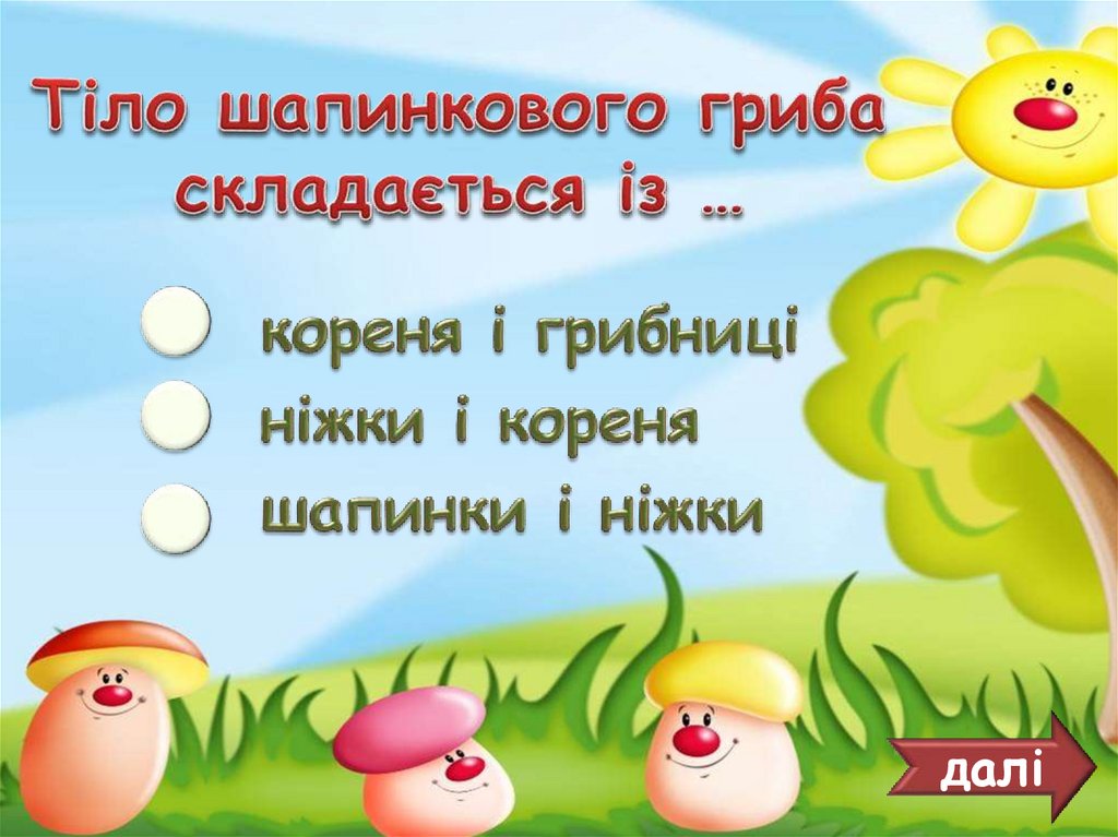 Тіло шапинкового гриба складається із …