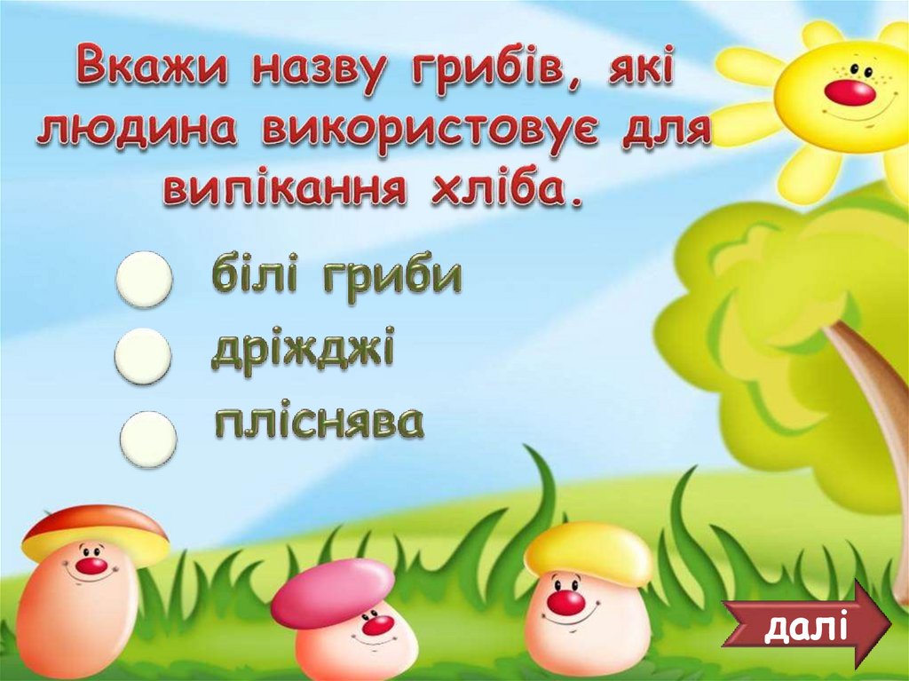 Вкажи назву грибів, які людина використовує для випікання хліба.