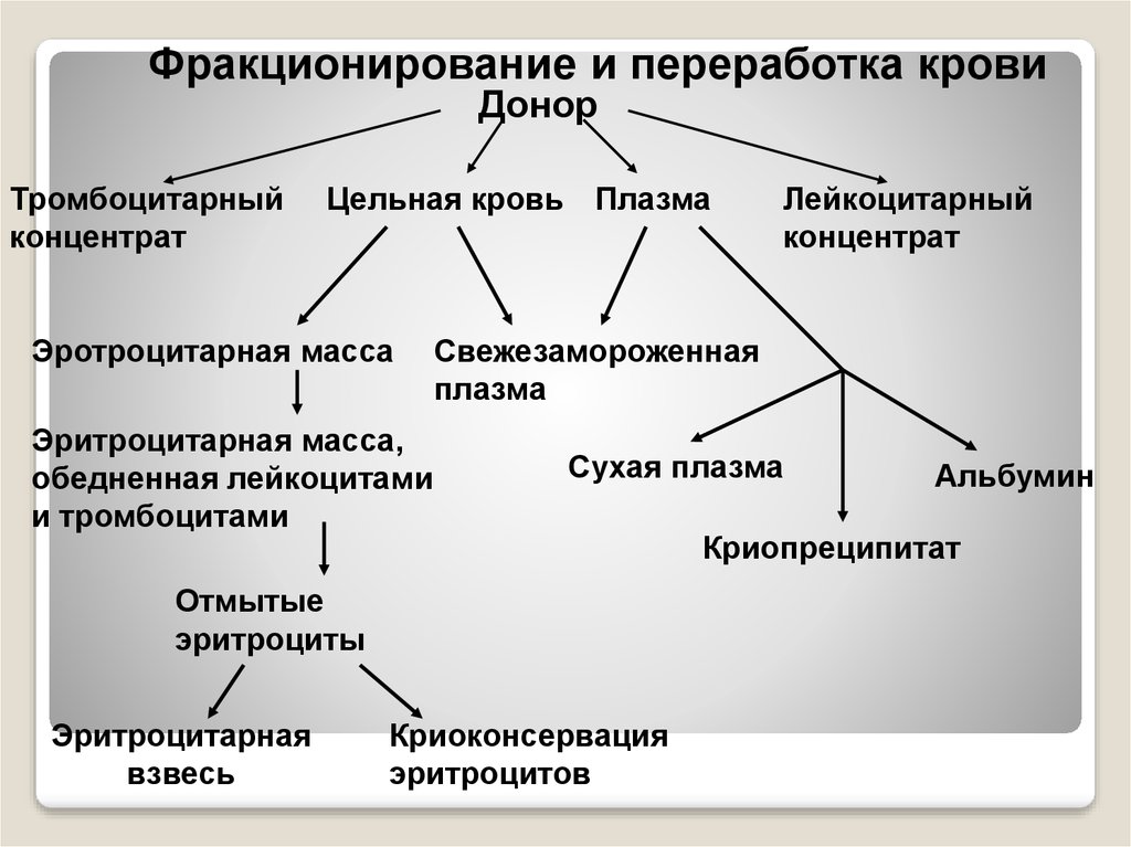 Фракционирования плазмы. Фракционирование плазмы крови по кону. Фракционирование компонентов крови. Цельная кровь и плазма крови. Разделение крови на компоненты.