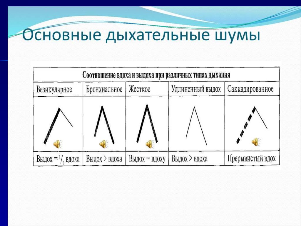 Схемы основных дыхательных шумов