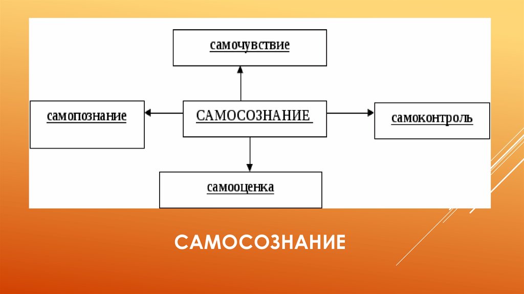 Самопознание размышление о 4 заполните схему