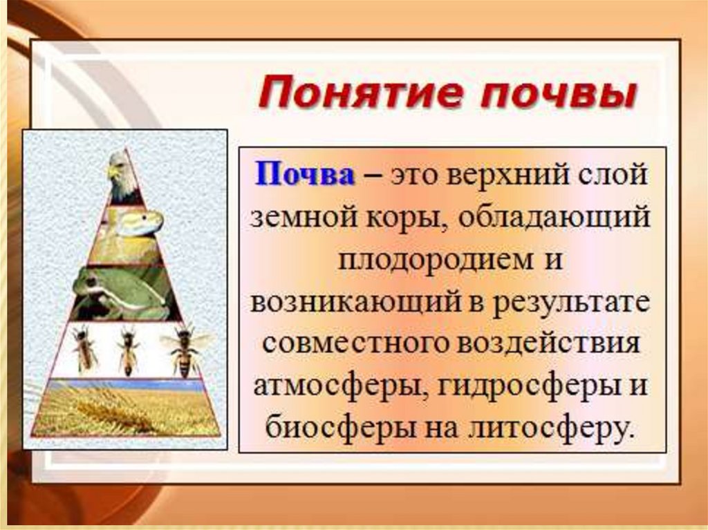 Дайте определение почвы. Понятие о почве. Определение понятия почва. Почва это определение. Определите понятие почва.