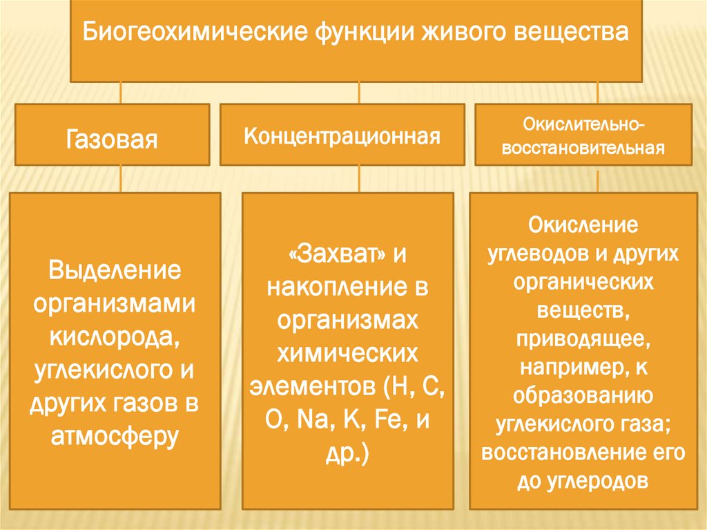 Функции газов. Геохимические функции живого вещества в биосфере. Биогеохимические функции биосферы. Биогеохимические функции живого вещества. Геохимическая функция биосферы.