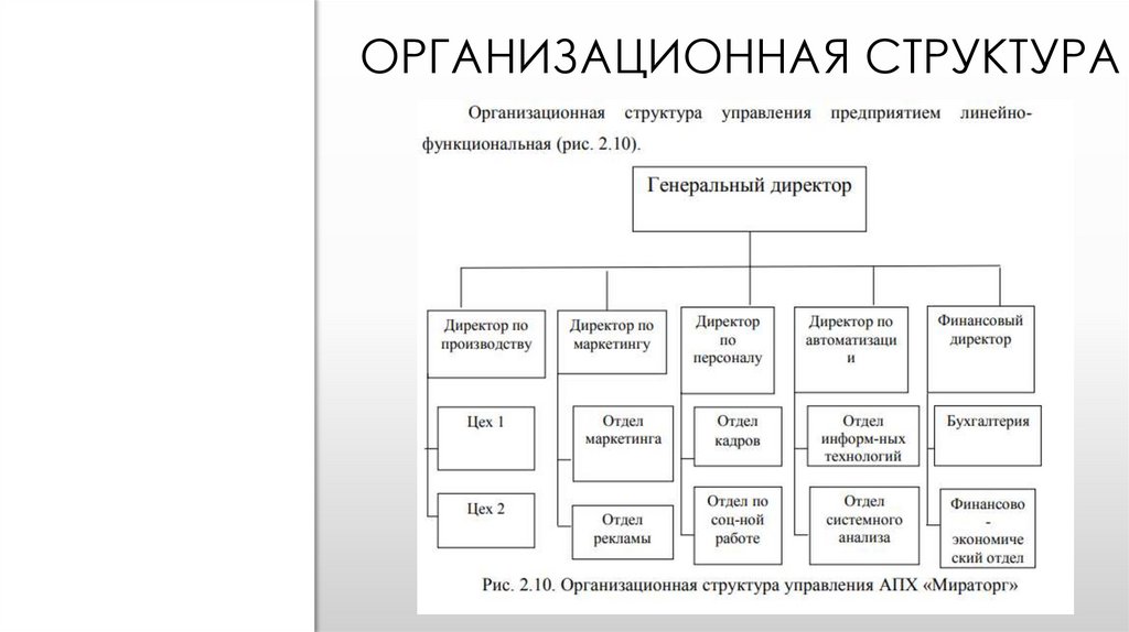 Структура управления птицефабрики схема