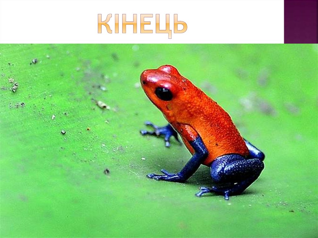 кінець