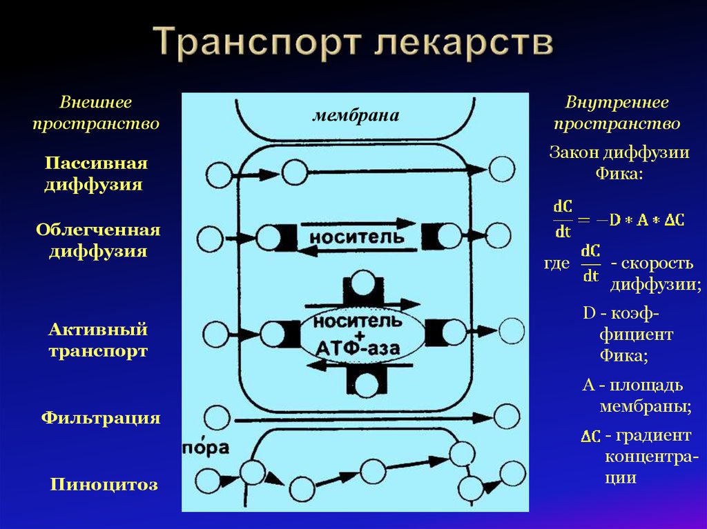 Активный диффузия. Облегченная диффузия это в фармакологии. Активный транспорт это в фармакологии. Транспорт лекарств. Диффузия пассивный транспорт.