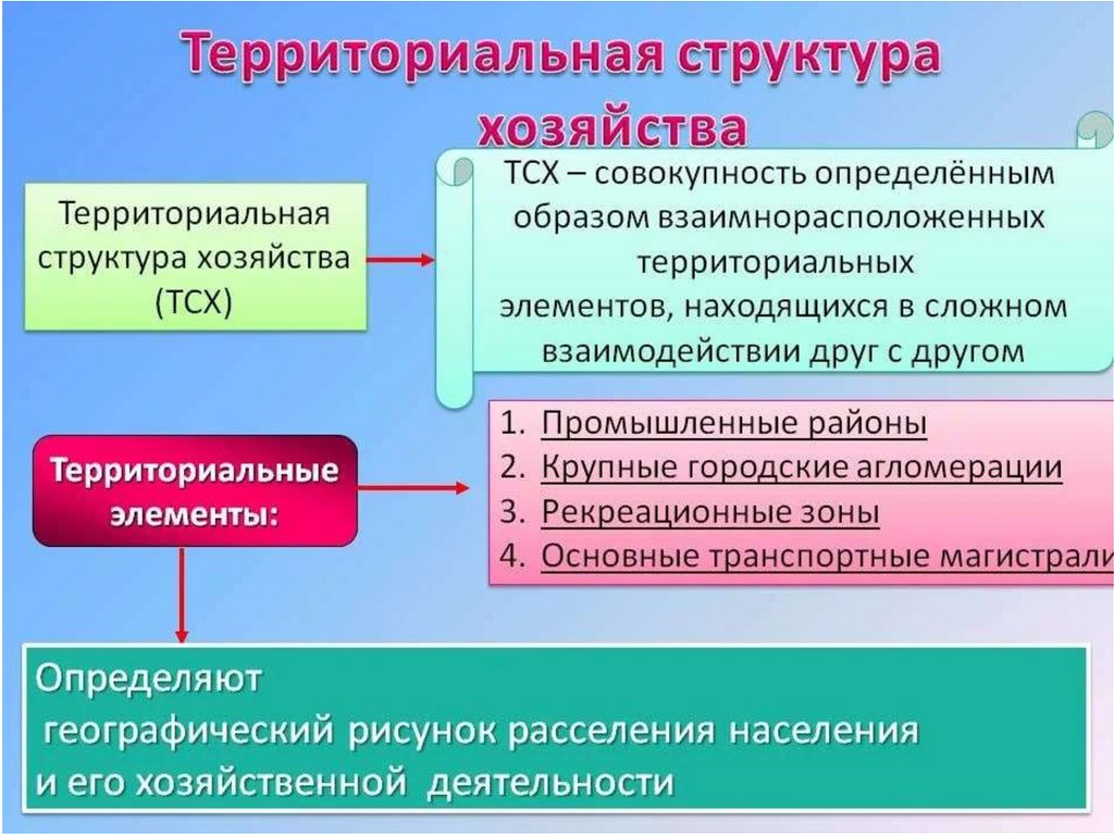 Территориальная экономика. Схема территориальной структуры хозяйства развитых стран. Территориальная структура. Территориальная структура экономики. ТСХ территориальная структура хозяйства.