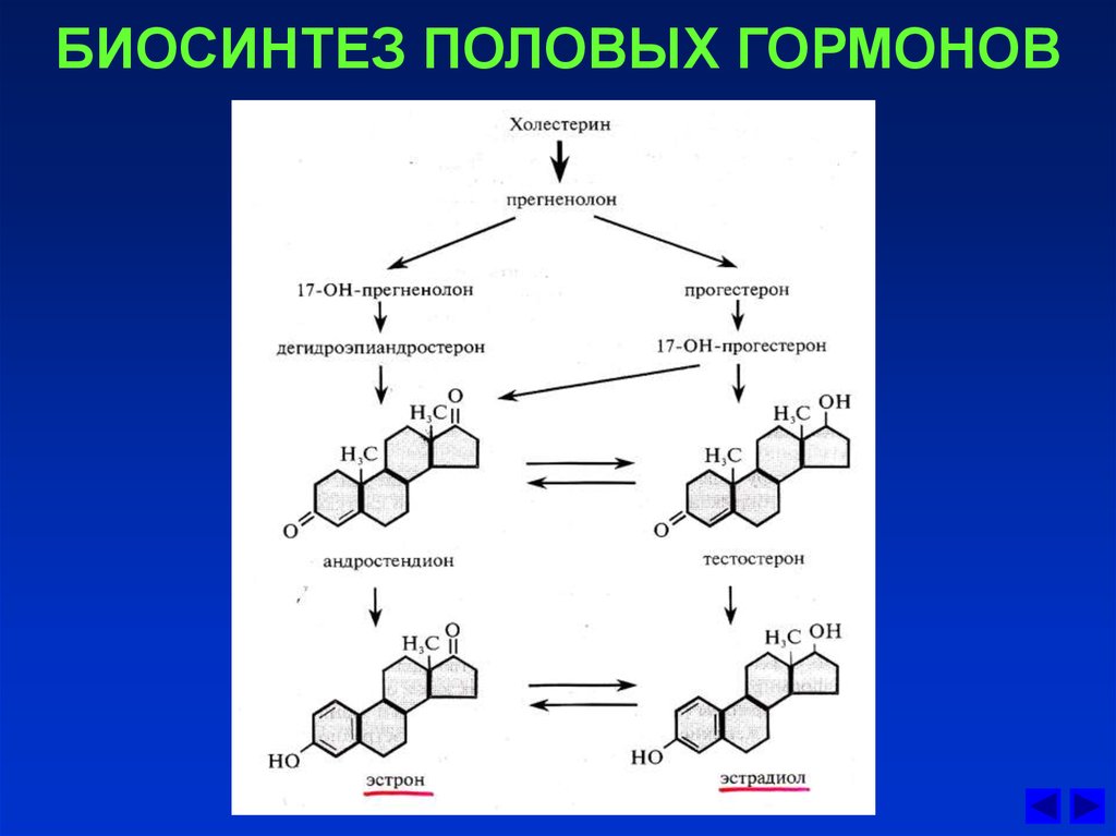 Распад железа. Схема синтеза стероидных гормонов биохимия. Схема синтеза стероидных гормонов. Синтез тестостерона схема. Синтез половых гормонов биохимия.
