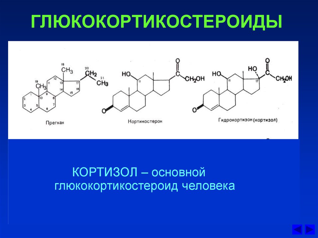 Применение глюкокортикоидов тест. Глюкокортикостероиды гидрокортизон. Глюкокортикоиды гормоны формулы. Глюкокортикоиды химическое строение. Гормоны группы глюкокортикоидов.