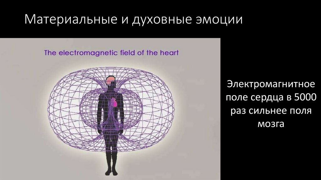 Мозг магнитное поле. Электромагнитное поле сердца. Магнитное поле сердца. Электромагнитное поле сердца человека. Электрическое поле сердца.