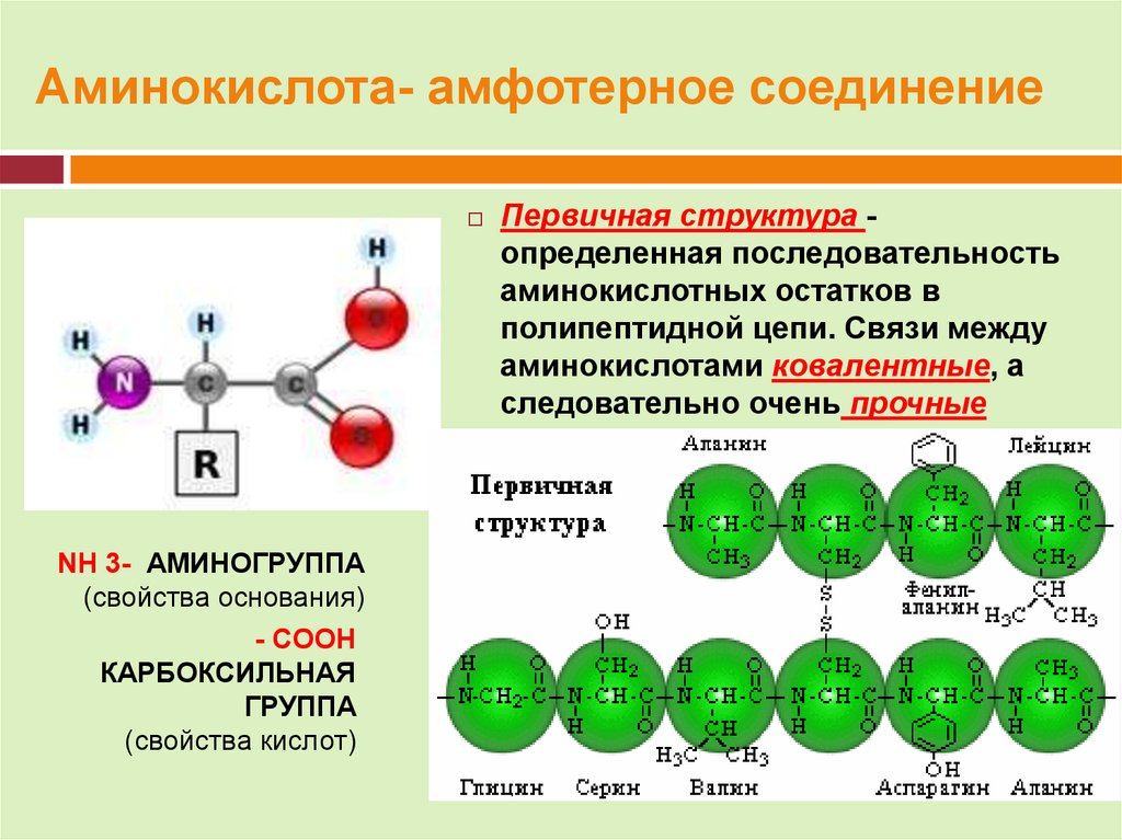 Аланин проявляет амфотерные свойства. Аминокислоты амфотерные соединения. Соединение аминокислот. Строение белков химия. Аминокислоты как амфотерные органические соединения.