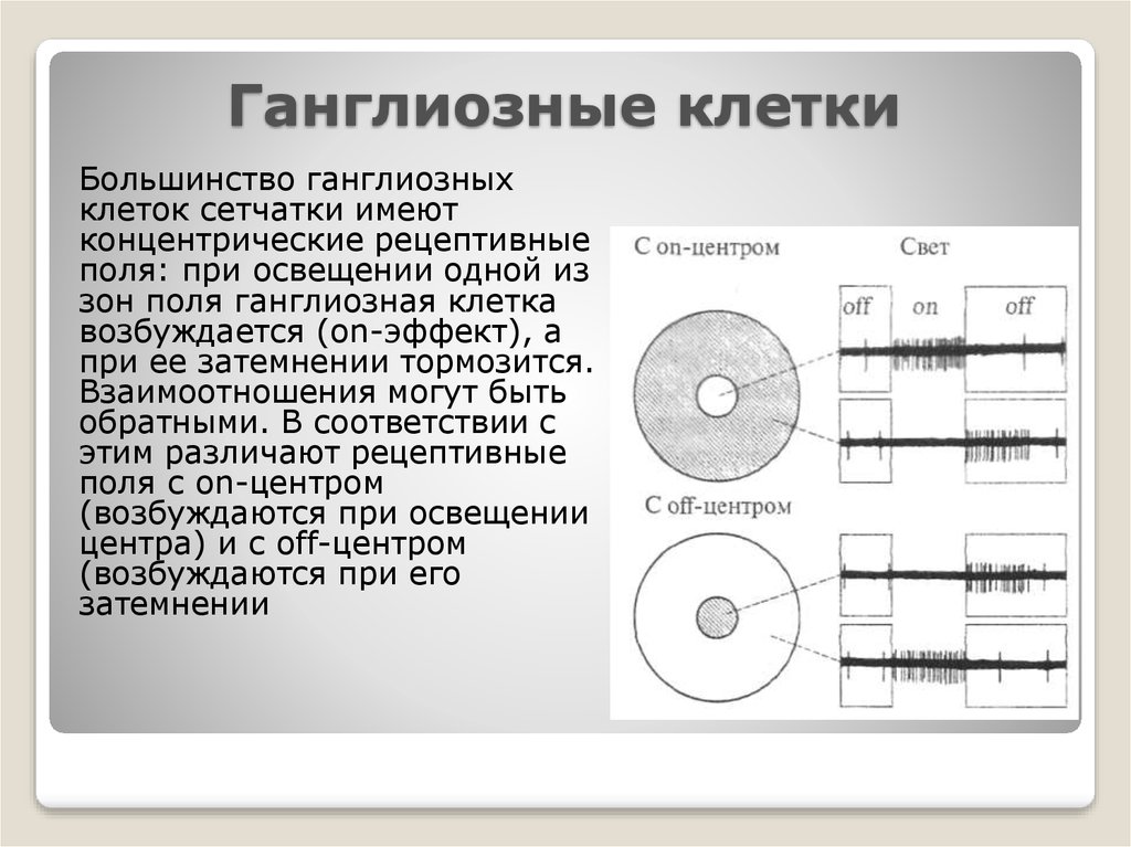 Прямое и обратное соответствие